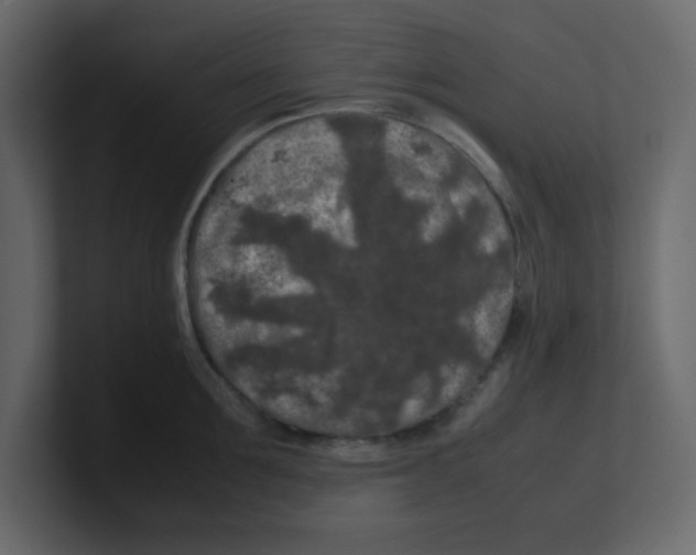 X0000100490907200807111120