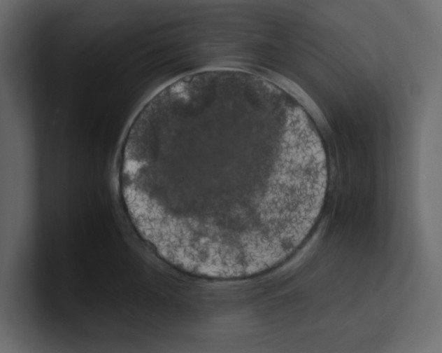 X0000100490908200807111120