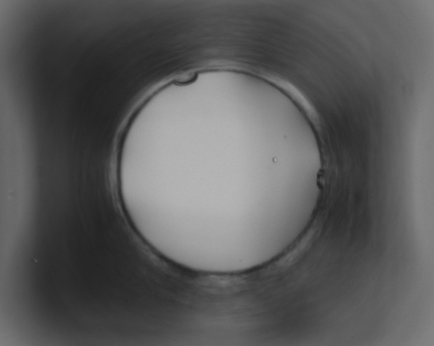 X0000100490910200807111120