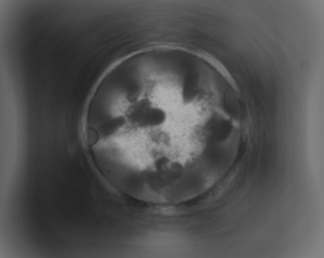 X0000100490911200807111120