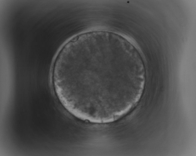 X0000100490912200807111120