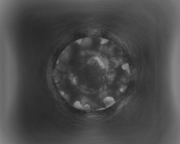 X0000100490913200807111119
