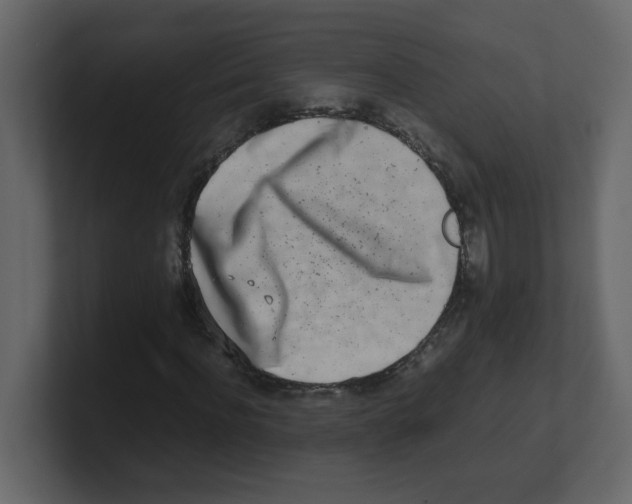 X0000100490916200807111119