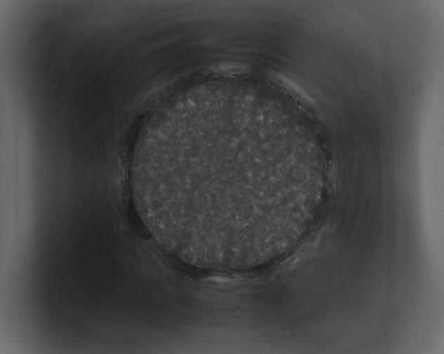 X0000100490917200807111119