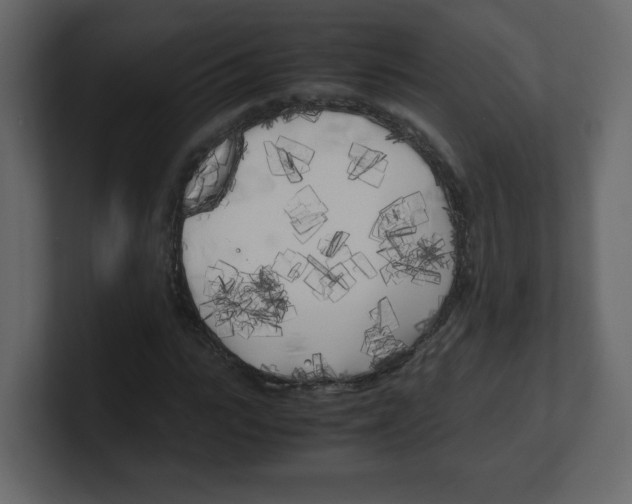 X0000100490919200807111119