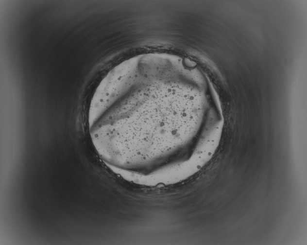 X0000100490920200807111119