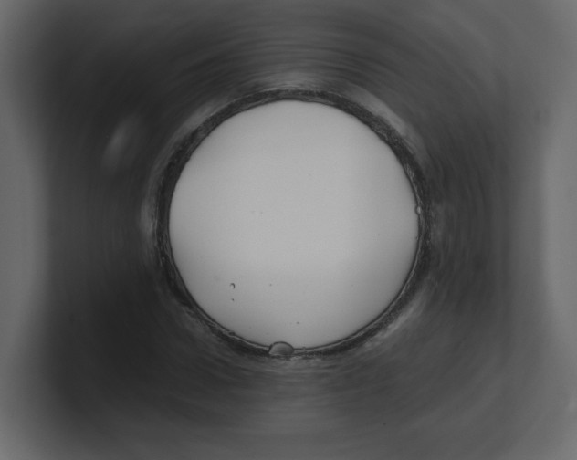 X0000100490922200807111119