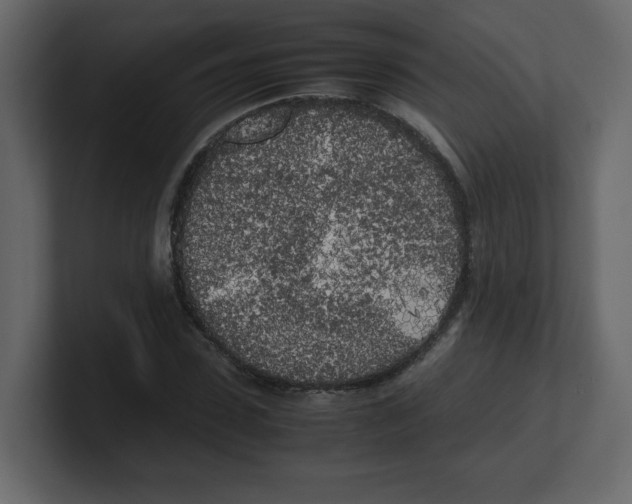 X0000100490923200807111119