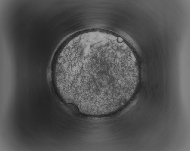 X0000100490924200807111119