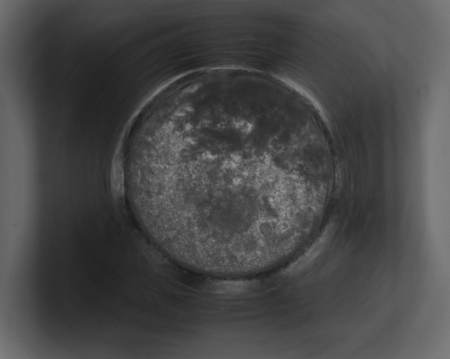 X0000100490925200807111119