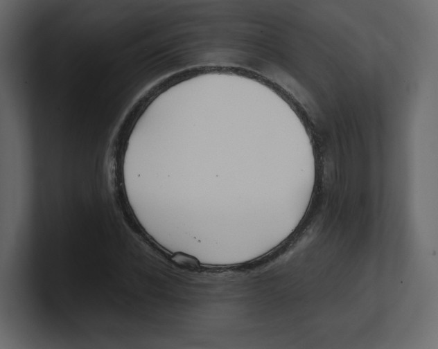 X0000100490926200807111119