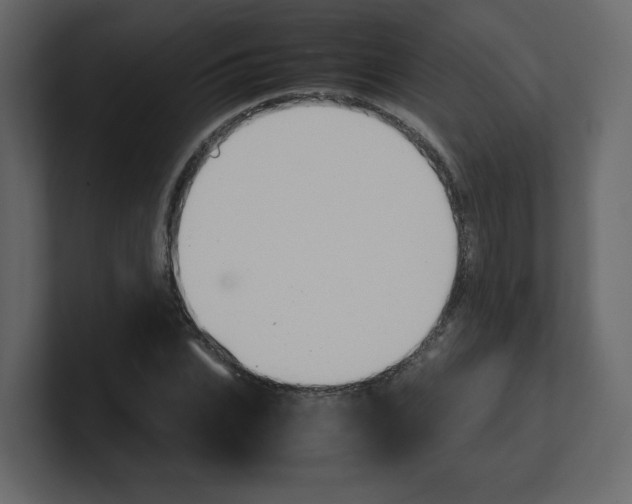 X0000100490927200807111119