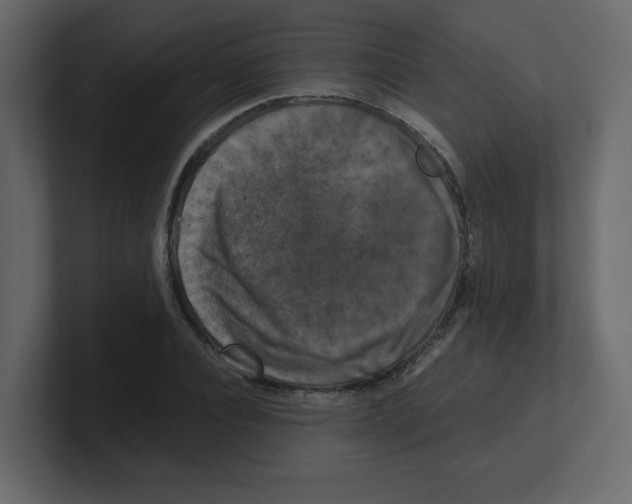 X0000100490928200807111119