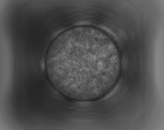 X0000100490929200807111119