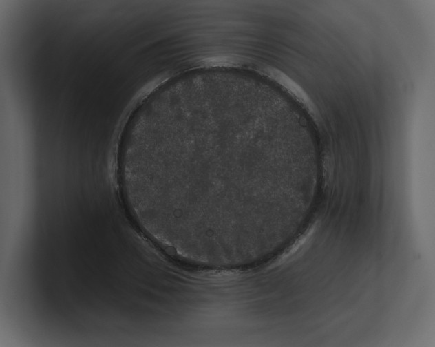 X0000100490930200807111119