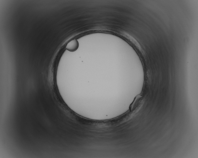 X0000100490931200807111119
