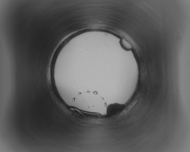 X0000100490932200807111119