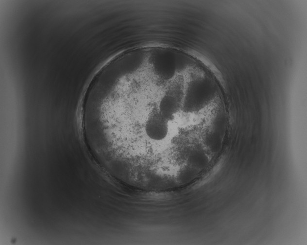 X0000100490933200807111119