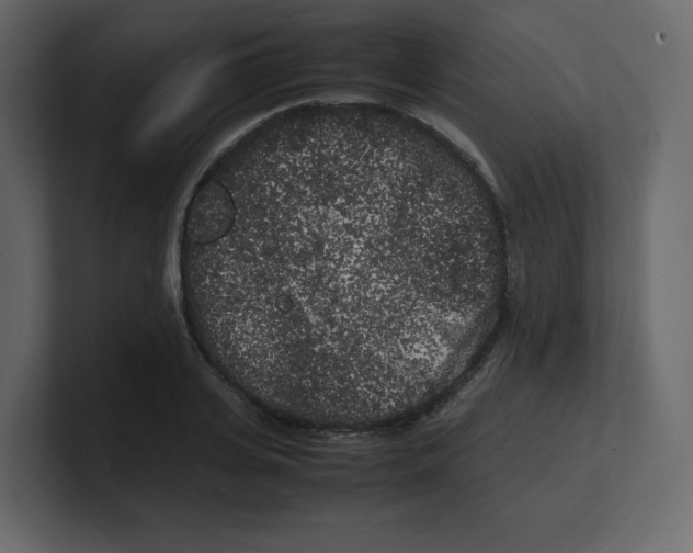 X0000100490935200807111119