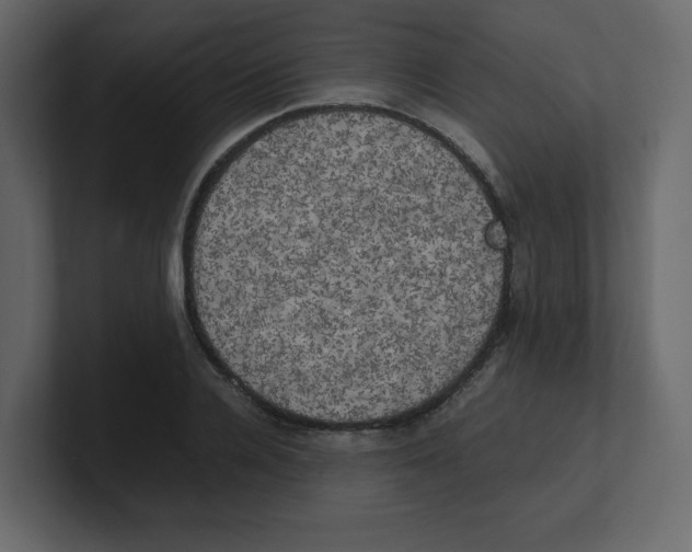 X0000100490936200807111119