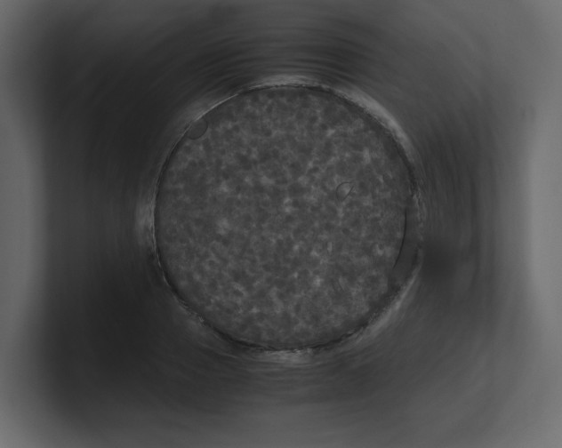 X0000100490937200807111119