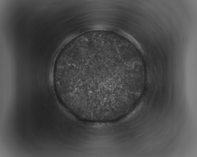 X0000100490938200807111119