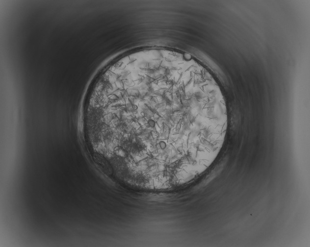 X0000100490940200807111119