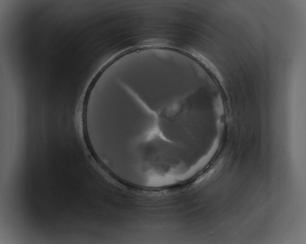 X0000100490941200807111119