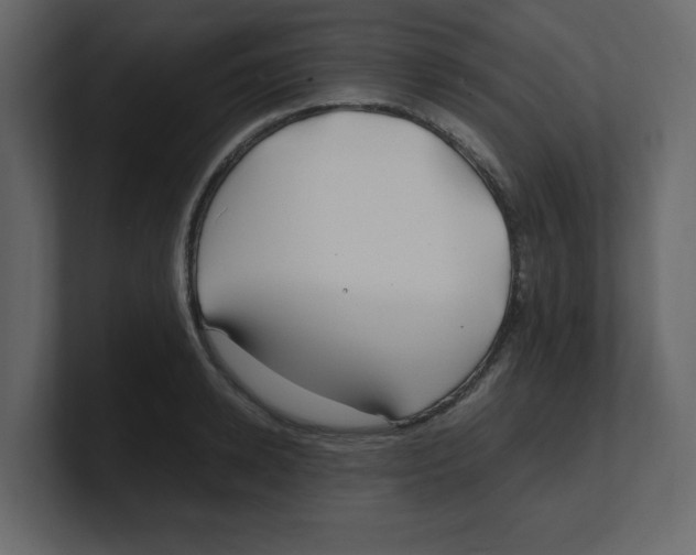 X0000100490942200807111120