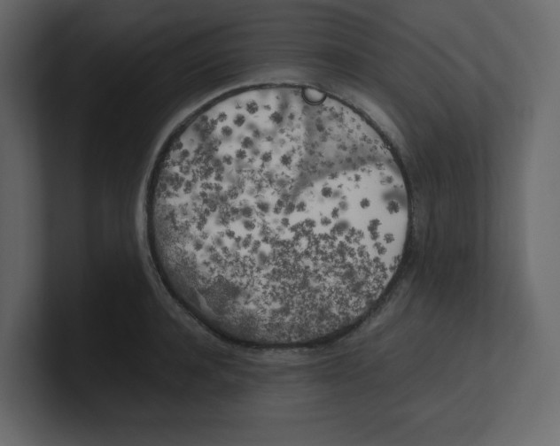 X0000100490944200807111120