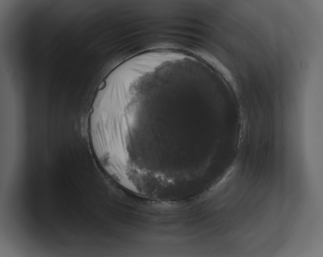 X0000100490945200807111120