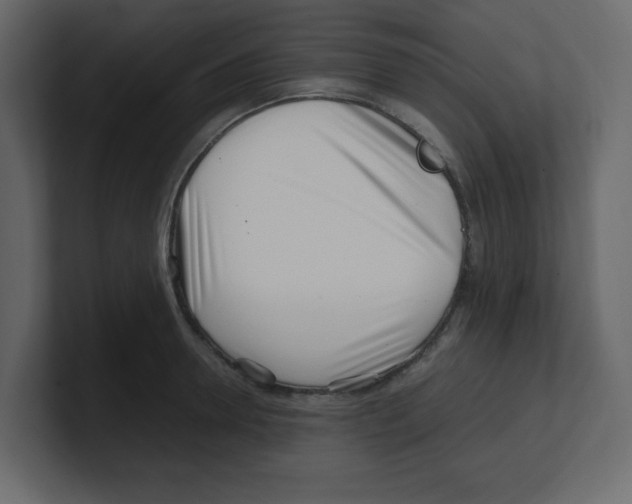 X0000100490946200807111120