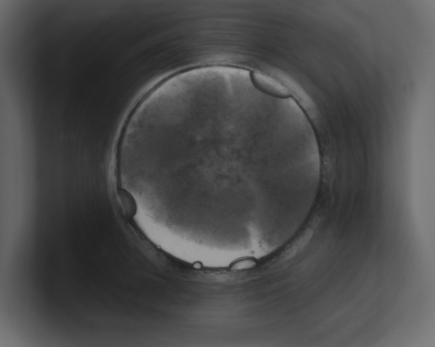 X0000100490948200807111120