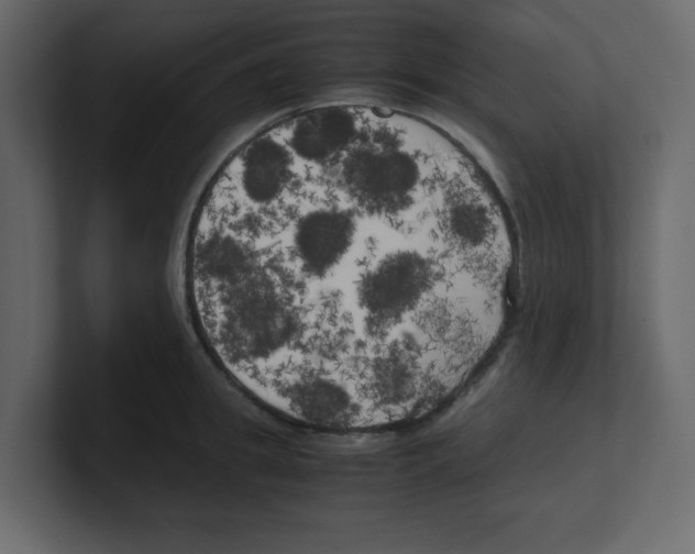 X0000100490949200807111120