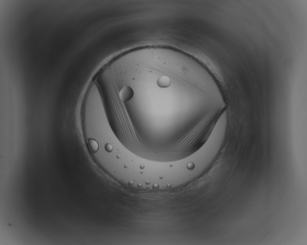 X0000100490950200807111120