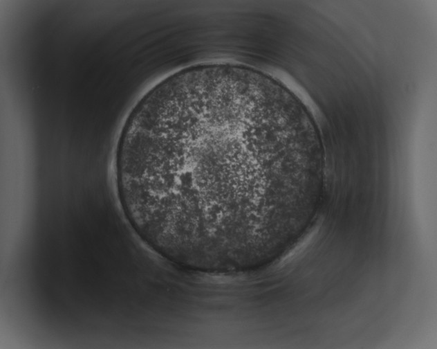 X0000100490951200807111120