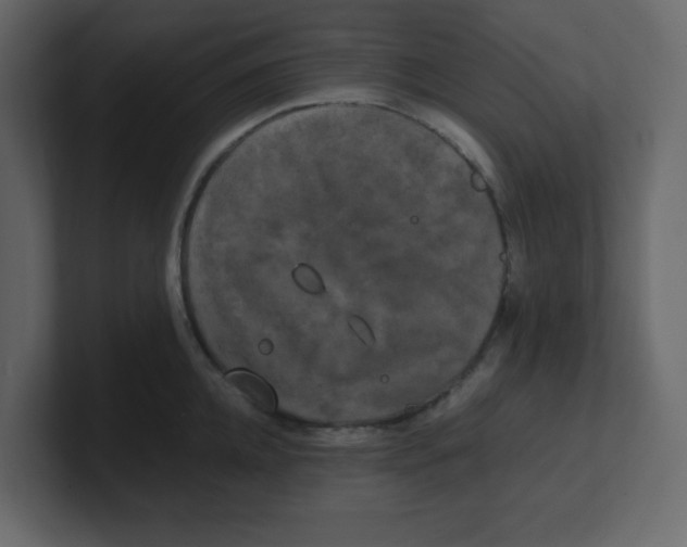 X0000100490952200807111120