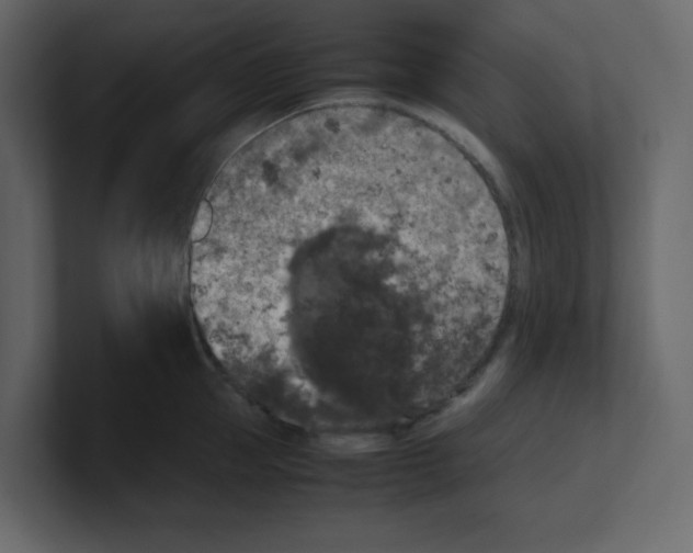 X0000100490953200807111120