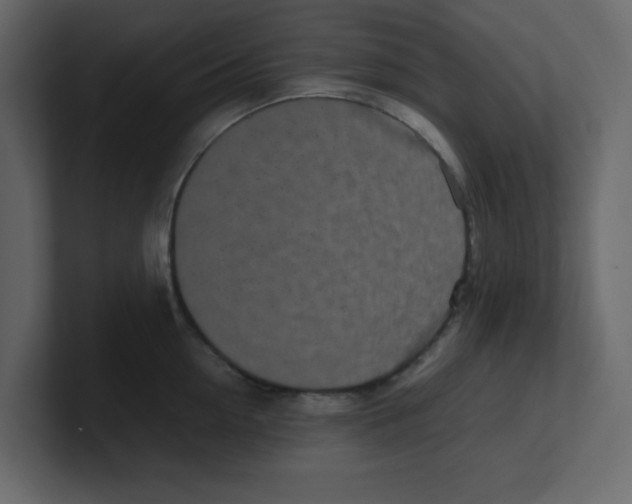 X0000100490954200807111120