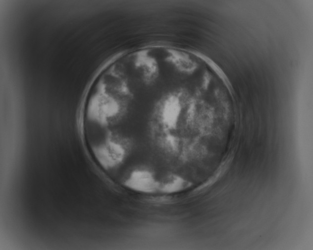 X0000100490957200807111120