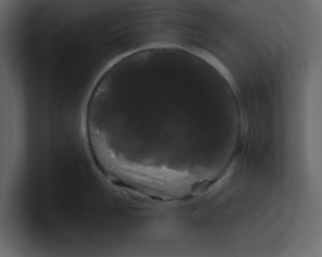 X0000100490958200807111120