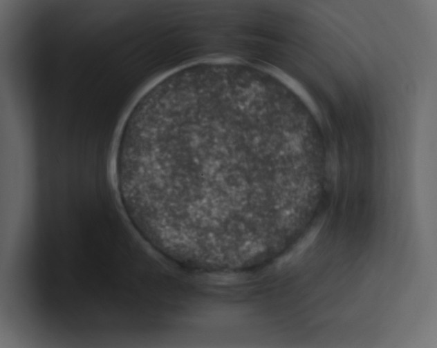 X0000100490959200807111120
