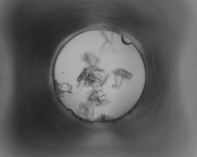 X0000100490960200807111120