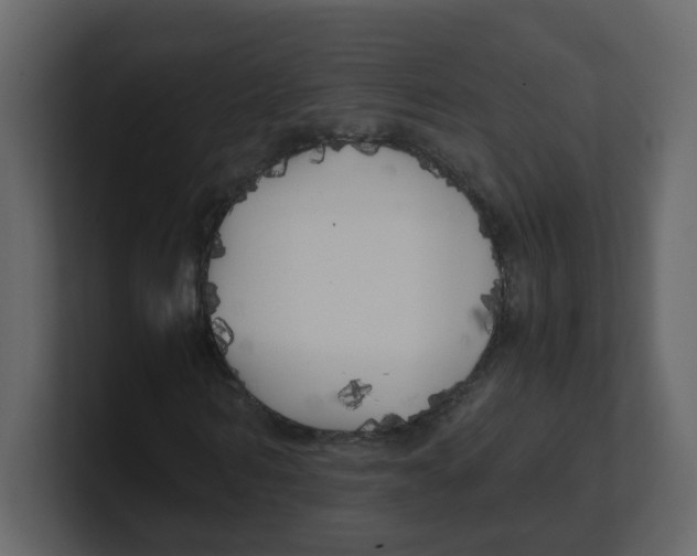 X0000100490962200807111119
