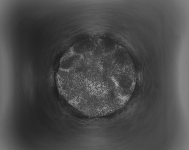 X0000100490963200807111119