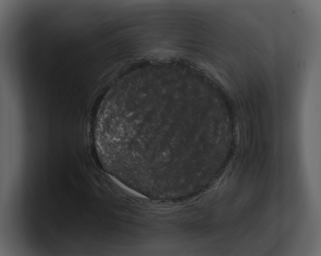 X0000100490964200807111119