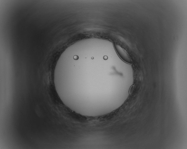 X0000100490965200807111119