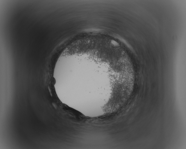 X0000100490967200807111119