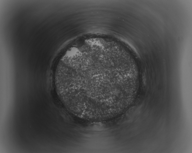 X0000100490968200807111119