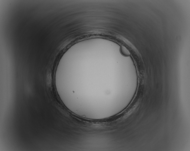 X0000100490969200807111119